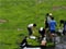 Algae helps industry go�green