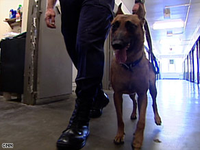 Three dogs have already found about 24 cell phones since the program began in June.