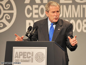 President Bush briefed world leaders on his G-20 economic summit Saturday at the APEC meeting in Peru.