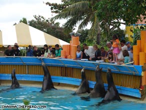 President-elect Barack Obama, and his daughters checked out the sea lions at Hawaii's Sea Life Park.