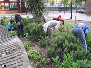 Guerrilla gardeners cultivate what was once a patch of derelict land in London.