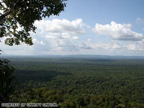 The Iwokrama Reserve covers 370,000 hectares of the Guiana Shield. It is one of the four remaining rainforest regions of the world.
