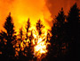Burning down the house