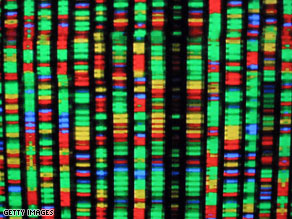 A digital representation of the human genome.