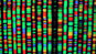 The gene game 