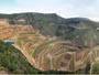 From landfill to landscape