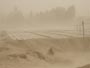'The Chinese Dust Bowl'