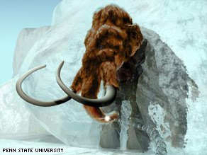 Scientists extracted DNA from balls of frozen mammoth hair that are more than 20,000 years old.