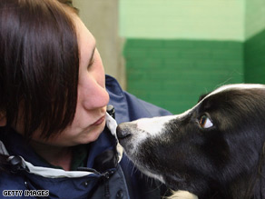 Dogs hate their owner showing affection to other dogs.