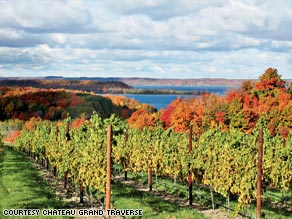 Chateau Grand Traverse vineyard on Lake Michigan