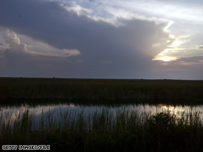 Development, flood control and agricultural runoff have shrunk the Everglades to half its former size.