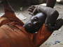 Worshippers killed