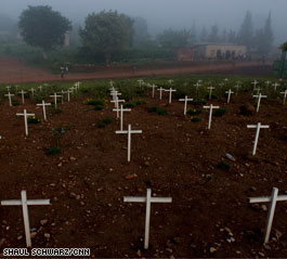 'Hundreds of thousands' could have been saved