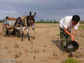 This arid land in Minqin used to be a forest and Ma Junhe hopes to restore it to its former lush state.