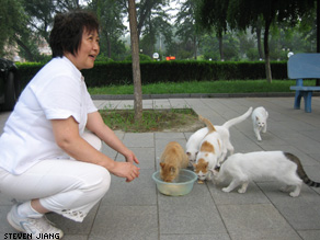 Animal rights advocate Qin Xiaona mixes leftovers to feed stray cats.