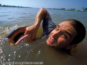 Zeb Hogan getting to grips with a giant catfish in the Tonl Sap River in Cambodia.