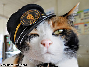 Tama the "Super Stationmaster," in her hat cocked at a rakish angle, has become a sensation.