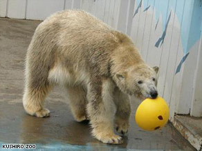 A 4-year-old polar bear sent to impregnate a female polar bear at a zoo in Kushiro was found to be female as well.