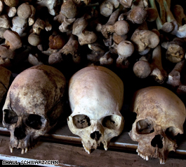 Genocide: The world's most heinous crime