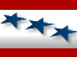 America Votes 2008