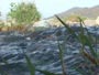 Video: At the river's source