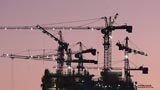 Blog: A sea of cranes