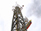 Eco Solutions: Sustaining growth