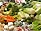 Special report:  Food crisis