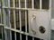 Sat: Women Behind Bars!