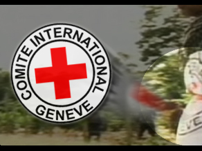 A side by side comparison of the footage during the rescue and the official Red Cross logo show the similarities.