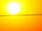 Morning Sunshine!