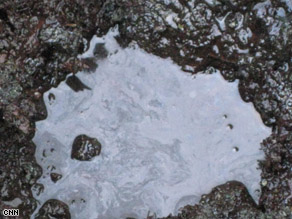 As AC360° Correspondent, David Mattingly dug into the soil on Knight Island, the oily residue was still present 19 years later.