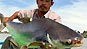 Mekong mega-fish