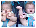 Nancy's Twins -- Photo Gallery