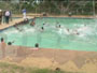 Video: Swim Fan