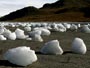 Greenland's ice melts
