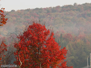  Trees display their fall colors in Vermont.