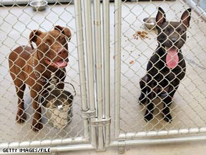 The Supreme Court will hear a case on dogfighting, which usually involves pit bulls, shelter statistics say.