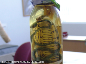 Customs officials in Miami seized what they believe is "snake wine," poisonous snakes bottled in alcohol.