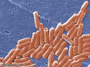 Salmonella bacteria are transmitted to humans by eating contaminated foods.