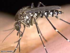 The WHO has reported that around half of the world's population is at risk of malaria.