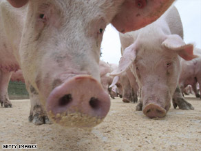 Swine flu commonly affects pigs and occasionally infects people in contact with pigs.