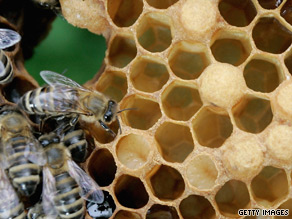 Research has shown that honey has antibacterial properties.