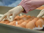 Swine flu vaccine: How many doses are enough?