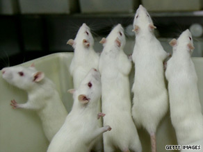 Rats injected with BBG not only regained their mobility but temporarily turned blue.