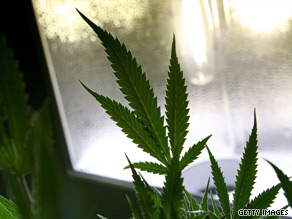 The federal move could encourage other states to make their own laws allowing medical marijuana use.