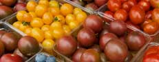 Vital Signs health tips