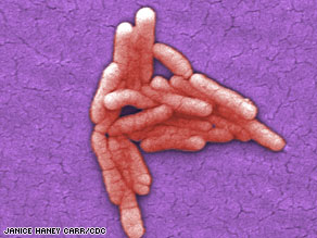 gram negative bacilli