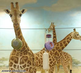 Budget cuts force Bronx Zoo to 'fire' animals