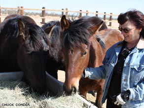 Jill Starr, president of Lifesavers Wild Horse Rescue, vows to do right by the horses.